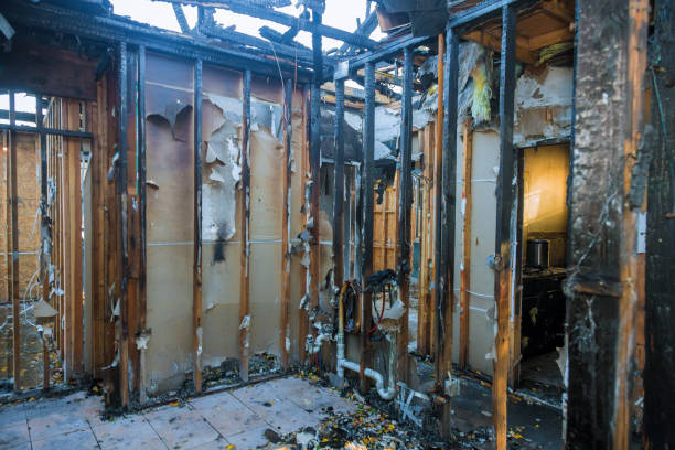 Professional Fire Damage Removal technician working in Princess Anne, MD